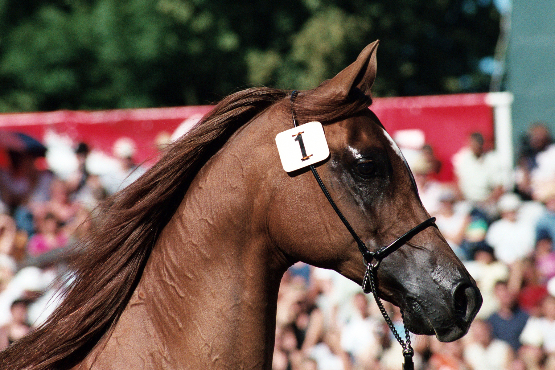 Sports and leisure resort xbionic sphere