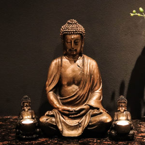 XBS_WELLNESS_300x300
