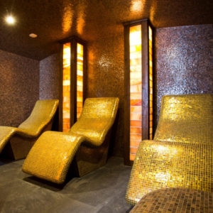 XBS_WELLNESS_300x3007