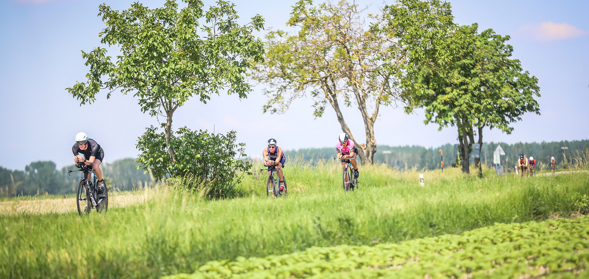 The Championship 2019