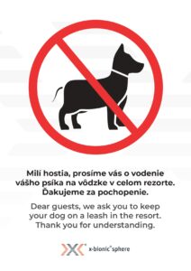 XBS_DOG_FLYER_A3 (1)_page-0001