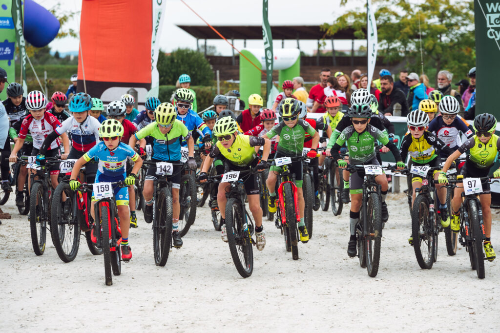 DTPS2024_Samorin_237